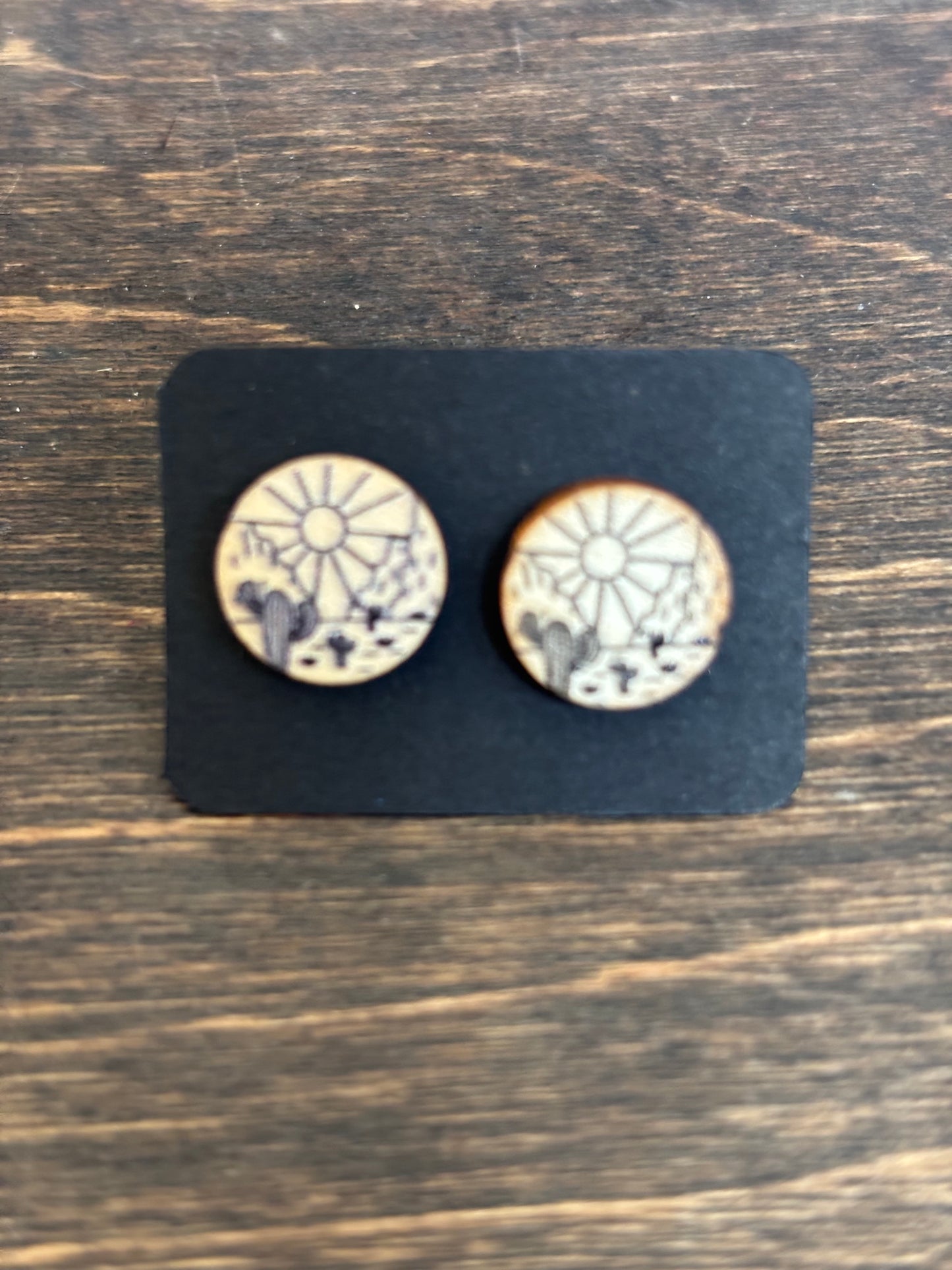 Western Desert Scene Post Earrings